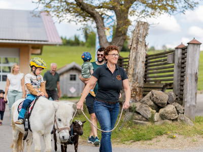 Bild 28 aus  Schädlerhof