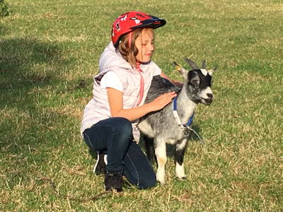 Bild 68 aus  Ostsee Ferienhof Kluvetasch