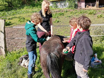 Bild 5 aus  Hof Hospitalmühle