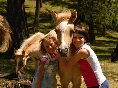 Bild 18 aus  Wietererhof