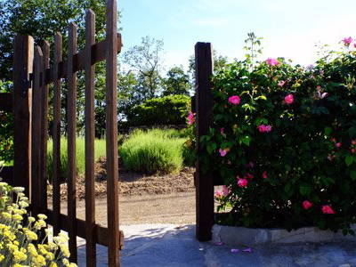 Bild 18 aus  Agriturismo Il Roccolo