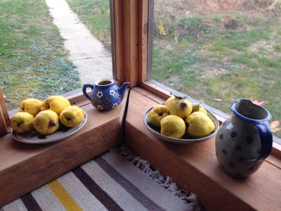 Bild 17 aus  Hollerhof-Oderbruch