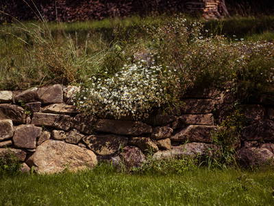 Bild 19 aus  Ferienhaus Kostnerhof