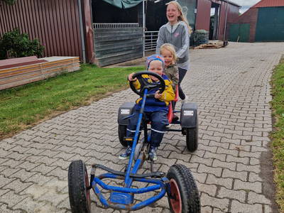 Bild 57 aus  Küstenhof Oldewurtel