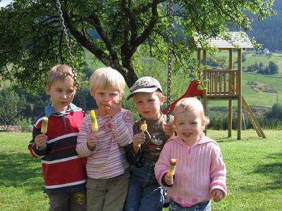 Bild 18 aus  Ferienhaus Labbronnerhof