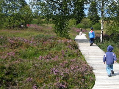 Bild 25 aus  Victorhof Ferienwohnungen