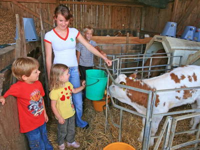 Bild 7 aus  Fürstenberger Hof