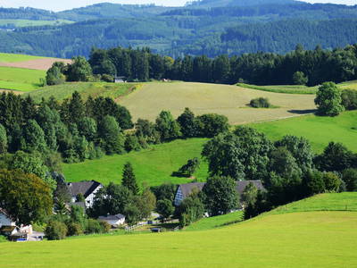 Bild 16 aus  Landurlaub im Sauerland auf dem Ferienhof Verse