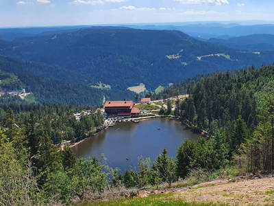 Bild 19 aus  Ferienwohnung Rüttwaldhof