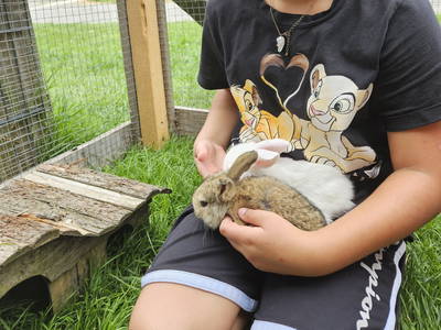 Bild 50 aus  Frankhof