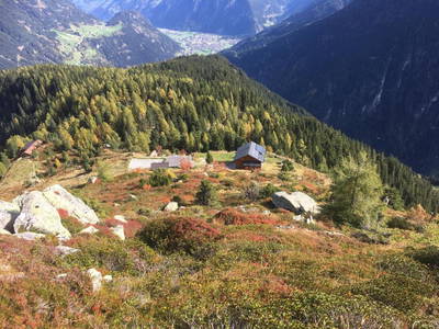 Bild 13 aus  Monas Home Mayrhofen