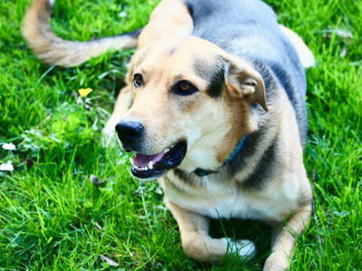 Bild 7 aus  Hof-Heiß