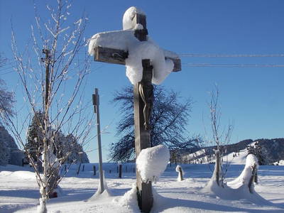 Bild 5 aus  Landhof Kiesel