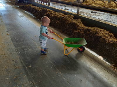 Bild 10 aus  Knödler Stadel