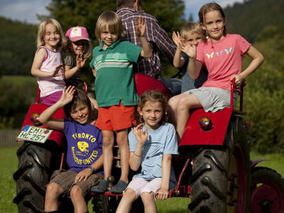 Bild 11 aus  Schingerhof