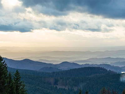 Bild 7 aus  Kofa 1895