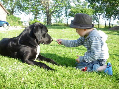 Bild 10 aus  Der Liethshof