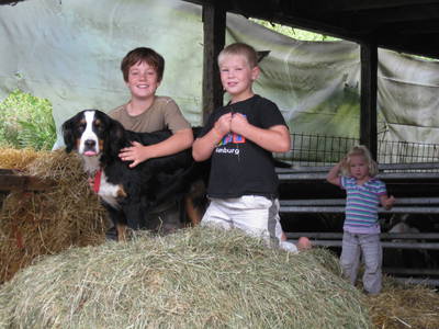 Bild 22 aus  Ferienhof Pulte