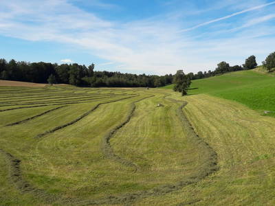 Bild 19 aus  Erholung - Natur pur - Urlaub auf dem Loyerhof