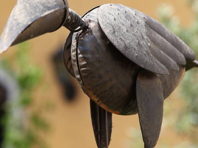 Bild 37 aus  Steinermühle