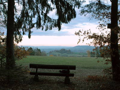 Bild 22 aus  Arabian Harmony