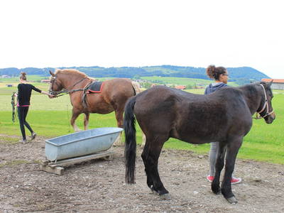 Bild 19 aus  Ferienhof Hitzelberger