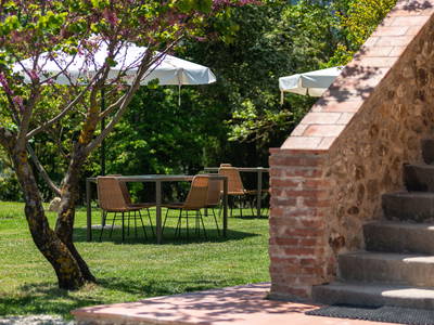 Bild 34 aus  Tenuta Il Cicalino