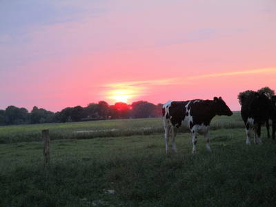 Bild 7 aus  Ferienhof Hohenhenne