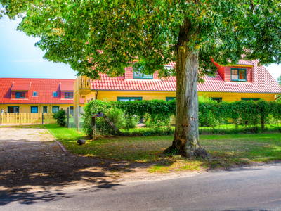 Bild 3 aus  Kleine Viecherei