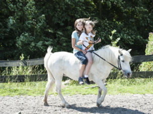 Bild 8 aus  Margarethenhof