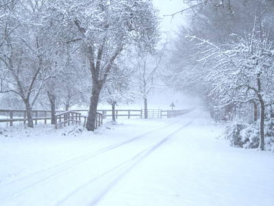 Bild 22 aus  SchleinersHof