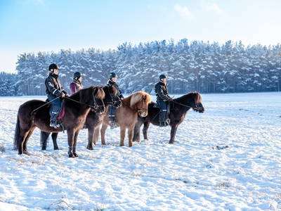 Bild 6 aus  Reiter- und Erlebnisbauernhof Groß Briesen