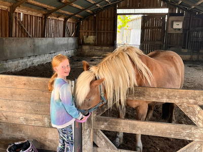 Bild 55 aus  Ferienhof Sell Bauernhofurlaub Ostsee Ponys