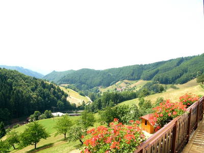 Bild 62 aus  Ferienhaus - Ferienwohnungen Müllerbauernhof im Schwarzwald.