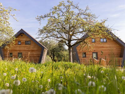 Bild 36 aus  Streuobst Chalets