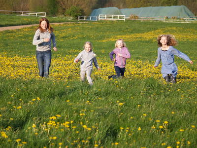Bild 27 aus  Gestüt Hof am See