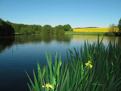 Bild 15 aus  Bahnwärterhaus