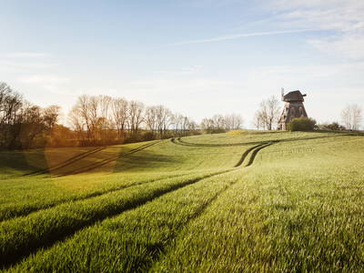 Bild 2 aus  Schamper Mühle