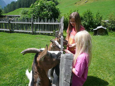 Bild 14 aus  Oberhof