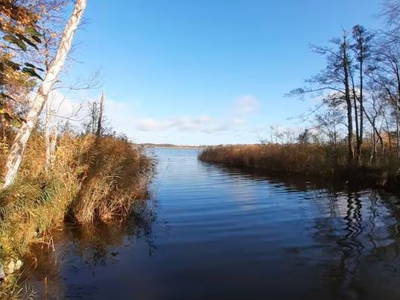 Bild 9 aus  Ferienhaus Landlust
