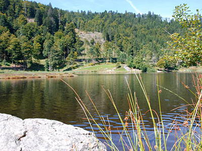 Bild 27 aus  Bauernhof Rützler