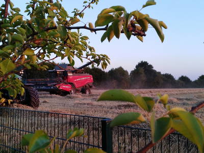 Bild 73 aus  Ahoi Ostsee:  Bauernhof und OstseeUrlaub - Ferienhof Becker in Dahme