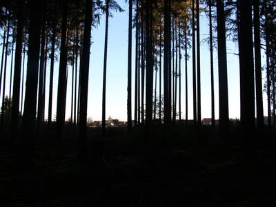 Bild 37 aus  Pension Baarblick