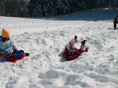 Bild 27 aus  Reicharthof