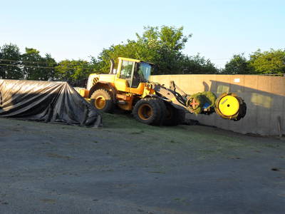 Bild 44 aus  Ferienhof Jansen