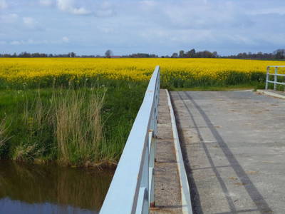 Bild 4 aus  Kleyhauers Ferienbauernhof