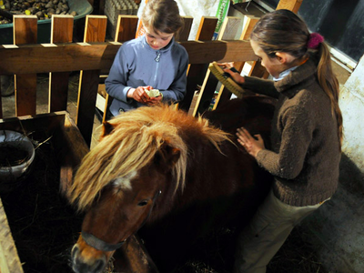 Bild 28 aus  Glinzhof