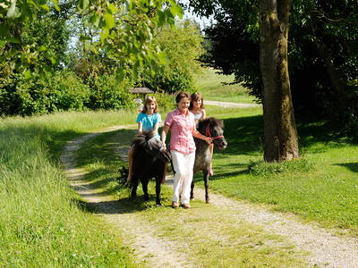 Bild 13 aus  Edmeierhof