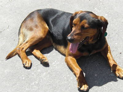 Bild 23 aus  Vettererhof