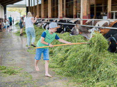 Bild 36 aus  Schädlerhof